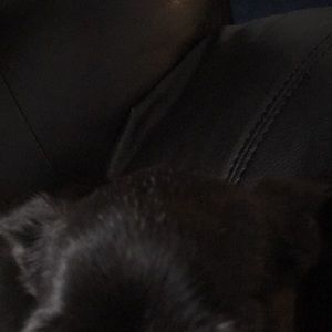 Meet your Posher, Gina